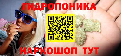 каннабис Будённовск
