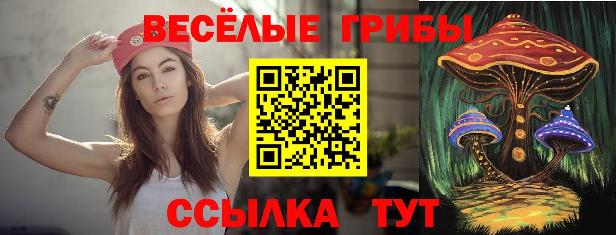 Лесозаводск  Псилоцибиновые грибы мухоморы  Вход с VPN 